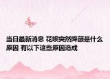 當(dāng)日最新消息 花唄突然降額是什么原因 有以下這些原因造成