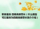 職務(wù)套改 四級(jí)高級(jí)警長（什么級(jí)別可以套改為四級(jí)高級(jí)警長簡介介紹）