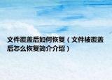 文件覆蓋后如何恢復(fù)（文件被覆蓋后怎么恢復(fù)簡介介紹）