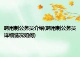 聘用制公務(wù)員介紹(聘用制公務(wù)員詳細(xì)情況如何)