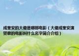 成奎安的大傻是哪部電影（大傻成奎安演警察的電影叫什么名字簡介介紹）