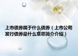 上市債券屬于什么債券（上市公司發(fā)行債券是什么意思簡(jiǎn)介介紹）