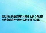 傷過的心就是玻璃碎片是什么歌（傷過的心就像玻璃碎片是什么歌名簡介介紹）