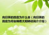 向日葵的圓盤為什么會(huì)（向日葵的圓盤為何會(huì)隨著太陽轉(zhuǎn)動(dòng)簡(jiǎn)介介紹）