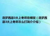 造夢(mèng)西游3太上老君在哪里（造夢(mèng)西游3太上老君怎么打簡(jiǎn)介介紹）