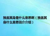 獨善其身是什么意思?。í毶破渖硎裁匆馑己喗榻榻B）