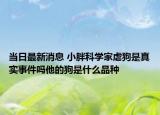 當(dāng)日最新消息 小胖科學(xué)家虐狗是真實(shí)事件嗎他的狗是什么品種