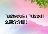 飛蟻好吃嗎（飛蟻吃什么簡介介紹）