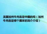 美國加州牛肉面是中國的嗎（加州牛肉面是哪個(gè)國家的簡(jiǎn)介介紹）