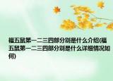 福五鼠第一二三四部分別是什么介紹(福五鼠第一二三四部分別是什么詳細(xì)情況如何)