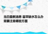 當日最新消息 翡翠缺水怎么辦 需要注意哪些方面