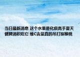 當(dāng)日最新消息 這個水果是化痰高手夏天健脾消積吃它 維C含量真的吊打獼猴桃