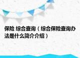 保險 綜合查詢（綜合保險查詢辦法是什么簡介介紹）