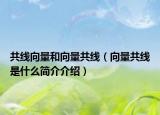 共線向量和向量共線（向量共線是什么簡(jiǎn)介介紹）