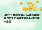 白宮外廣場發(fā)生雷擊4人重傷詳細內(nèi)容 白宮外廣場發(fā)生雷擊4人重傷具體介紹