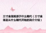 三寸金蓮起源于什么朝代（三寸金蓮是從什么朝代開始的簡(jiǎn)介介紹）