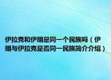 伊拉克和伊朗是同一個(gè)民族嗎（伊朗與伊拉克是否同一民族簡介介紹）