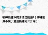 哪種能源不屬于清潔能源?（哪種能源不屬于清潔能源簡介介紹）