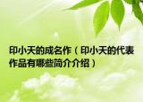 印小天的成名作（印小天的代表作品有哪些簡介介紹）