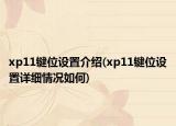 xp11鍵位設置介紹(xp11鍵位設置詳細情況如何)