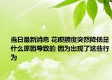 當(dāng)日最新消息 花唄額度突然降低是什么原因?qū)е碌?因為出現(xiàn)了這些行為