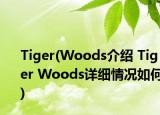 Tiger(Woods介紹 Tiger Woods詳細(xì)情況如何)