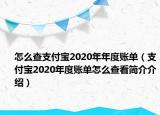 怎么查支付寶2020年年度賬單（支付寶2020年度賬單怎么查看簡介介紹）