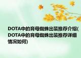 DOTA中的育母蜘蛛出裝推薦介紹(DOTA中的育母蜘蛛出裝推薦詳細(xì)情況如何)