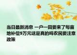 當(dāng)日最新消息 一戶一田要來了每畝地補(bǔ)償9萬元這是真的嗎農(nóng)民要注意政策