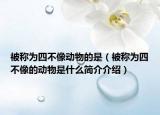 被稱為四不像動(dòng)物的是（被稱為四不像的動(dòng)物是什么簡(jiǎn)介介紹）