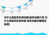 為什么用藍(lán)色形容憂郁(藍(lán)色憂郁介紹 為什么用藍(lán)色形容憂郁 藍(lán)色憂郁詳細(xì)情況如何)