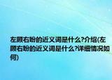 左顧右盼的近義詞是什么?介紹(左顧右盼的近義詞是什么?詳細(xì)情況如何)