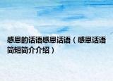 感恩的話語(yǔ)感恩話語(yǔ)（感恩話語(yǔ)簡(jiǎn)短簡(jiǎn)介介紹）