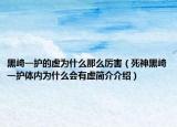 黑崎一護(hù)的虛為什么那么厲害（死神黑崎一護(hù)體內(nèi)為什么會(huì)有虛簡(jiǎn)介介紹）