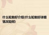 什么輪胎好介紹(什么輪胎好詳細情況如何)