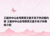 王毅孫中山會罵蔡英文是不肖子孫詳細內(nèi)容 王毅孫中山會罵蔡英文是不肖子孫具體介紹