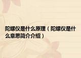 陀螺儀是什么原理（陀螺儀是什么意思簡介介紹）