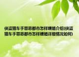俠盜獵車手罪惡都市怎樣嫖娼介紹(俠盜獵車手罪惡都市怎樣嫖娼詳細情況如何)