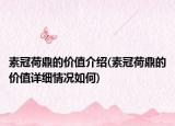 素冠荷鼎的價(jià)值介紹(素冠荷鼎的價(jià)值詳細(xì)情況如何)