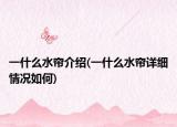 一什么水簾介紹(一什么水簾詳細情況如何)