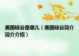 美國(guó)硅谷是哪兒（美國(guó)硅谷簡(jiǎn)介簡(jiǎn)介介紹）