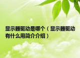 顯示器驅(qū)動(dòng)是哪個(gè)（顯示器驅(qū)動(dòng)有什么用簡(jiǎn)介介紹）