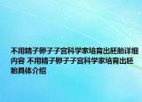 不用精子卵子子宮科學(xué)家培育出胚胎詳細內(nèi)容 不用精子卵子子宮科學(xué)家培育出胚胎具體介紹