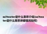 saltwater是什么意思介紹(saltwater是什么意思詳細(xì)情況如何)