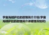 宇宙海賊薩拉的劇情簡介介紹(宇宙海賊薩拉的劇情簡介詳細(xì)情況如何)