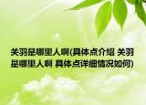 關(guān)羽是哪里人啊(具體點(diǎn)介紹 關(guān)羽是哪里人啊 具體點(diǎn)詳細(xì)情況如何)