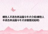 哪些人不適合養(yǎng)法國(guó)斗牛犬介紹(哪些人不適合養(yǎng)法國(guó)斗牛犬詳細(xì)情況如何)