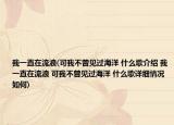我一直在流浪(可我不曾見過海洋 什么歌介紹 我一直在流浪 可我不曾見過海洋 什么歌詳細(xì)情況如何)