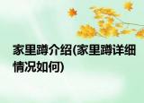 家里蹲介紹(家里蹲詳細情況如何)