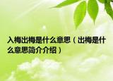 入梅出梅是什么意思（出梅是什么意思簡介介紹）